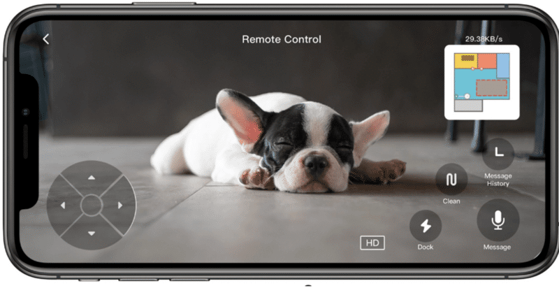 Über die Remote viewing Funktion des Roborock S6 MaxV sieht man einen Hund auf dem Handy Display.